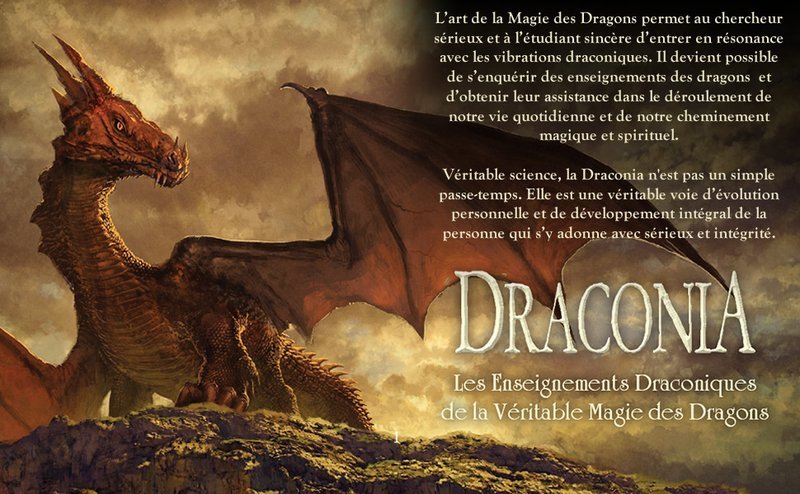 Découvrez l'univers en ligne de Dragonia Casino pour les amateurs de jeu en